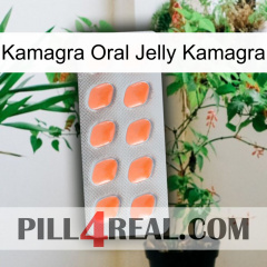 Kamagra Oral Jelly Kamagra 26